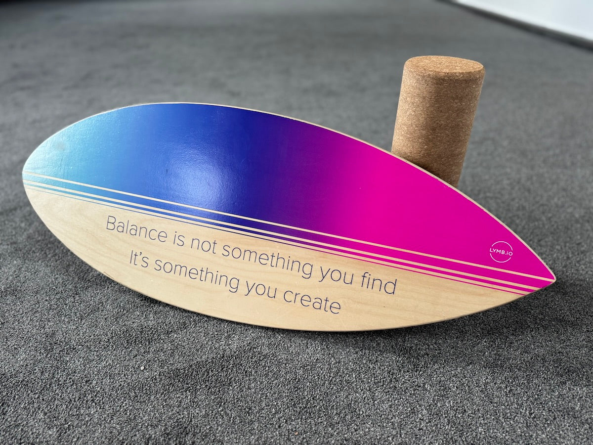 Photo of the LYMB.iO