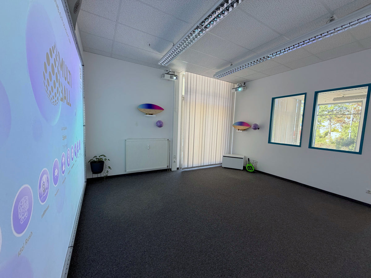 The MultiBall Club mounted on the left wall in the PlayRoom at Frankfurter Ring with balls and play equipment on the other walls and windows that let in light for a nice small MultiBall PlayRoom.